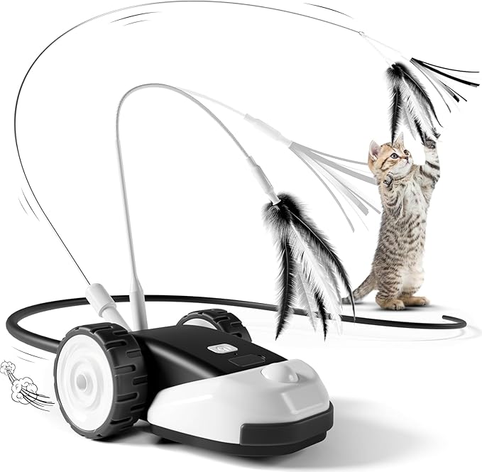 3-in-1 Rechargeable Cat Toy - Feather, String, & Mouse Tail Combo with 2-Speed Movement