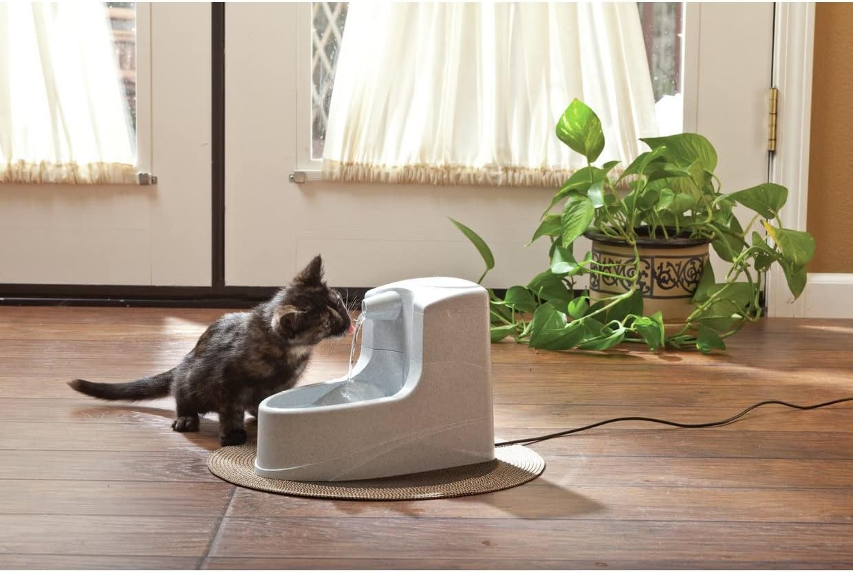 Mini Pet Drinking Fountain – 1.2L Compact, Silent Hydration Station for Cats & Small Dogs by PetSafe