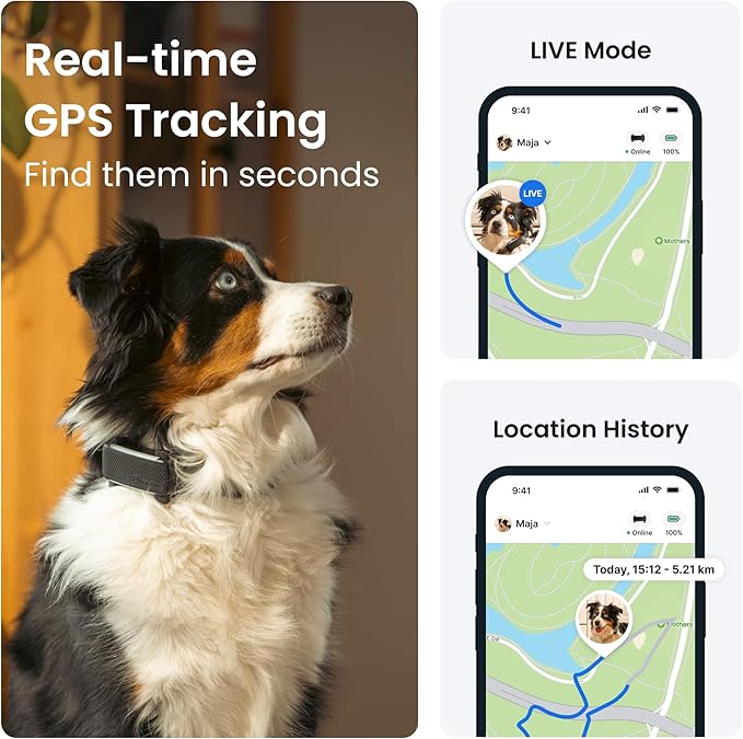 "Tractive GPS & Health Tracker – Keep Your Adventure Buddy Safe and Happy!"