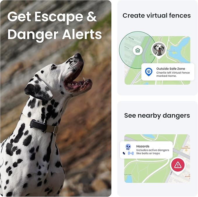 "Tractive GPS & Health Tracker – Keep Your Adventure Buddy Safe and Happy!"