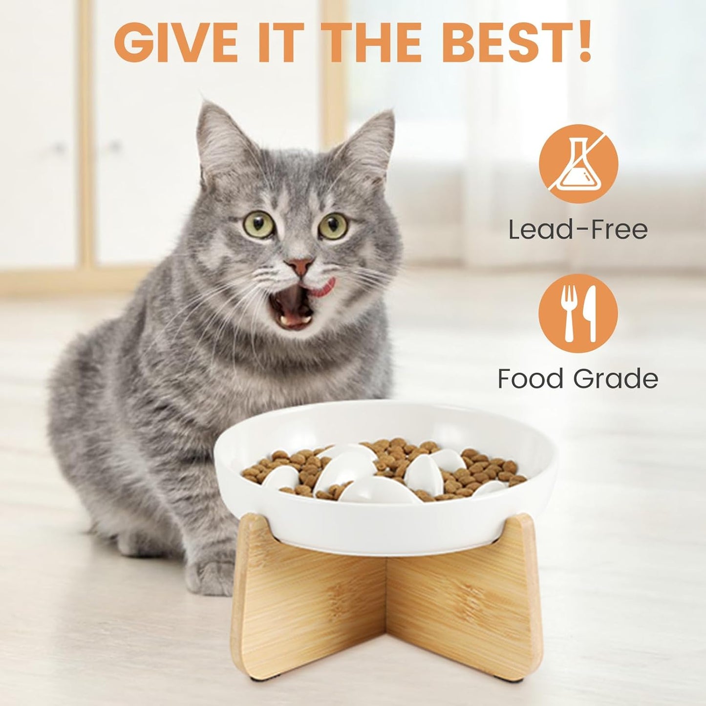 PETTOM Slow Feeder Cat Bowl with Bamboo Stand β Raised Ceramic Bowl for Tidy, Healthy Mealtimes