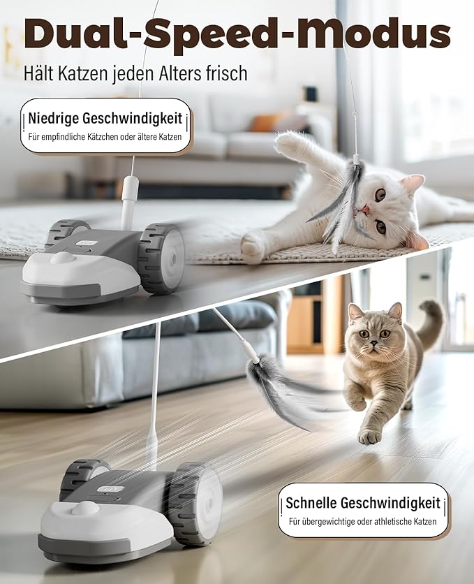 3-in-1 Rechargeable Cat Toy - Feather, String, & Mouse Tail Combo with 2-Speed Movement