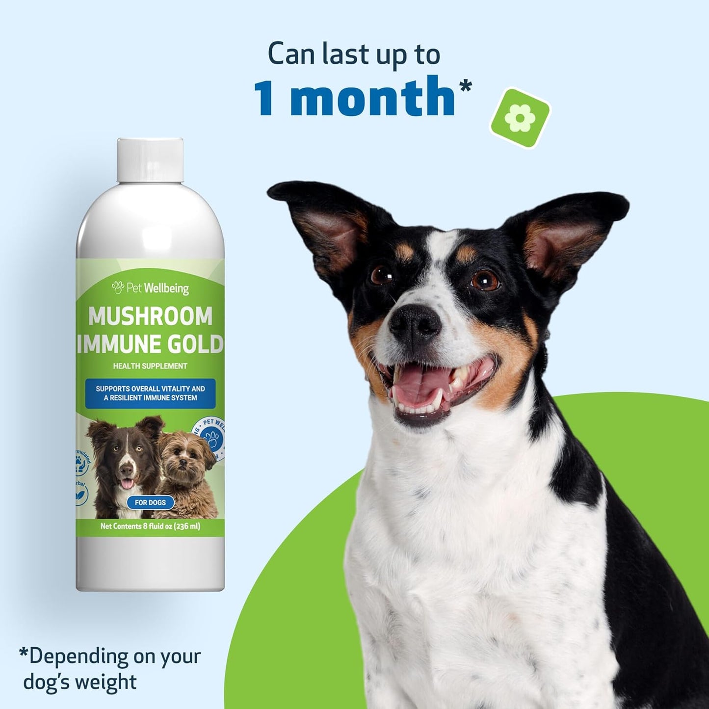 Mushroom Immune Gold – Reishi, Maitake & Turkey Tail for Dogs & Cats | Natural Immune Booster by Pet Wellbeing