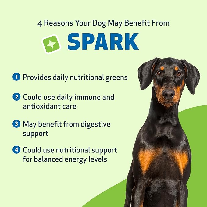 SPARK Daily Superfood for Dogs – Nutritional Greens with Probiotics, Enzymes, Spirulina & Vitamins