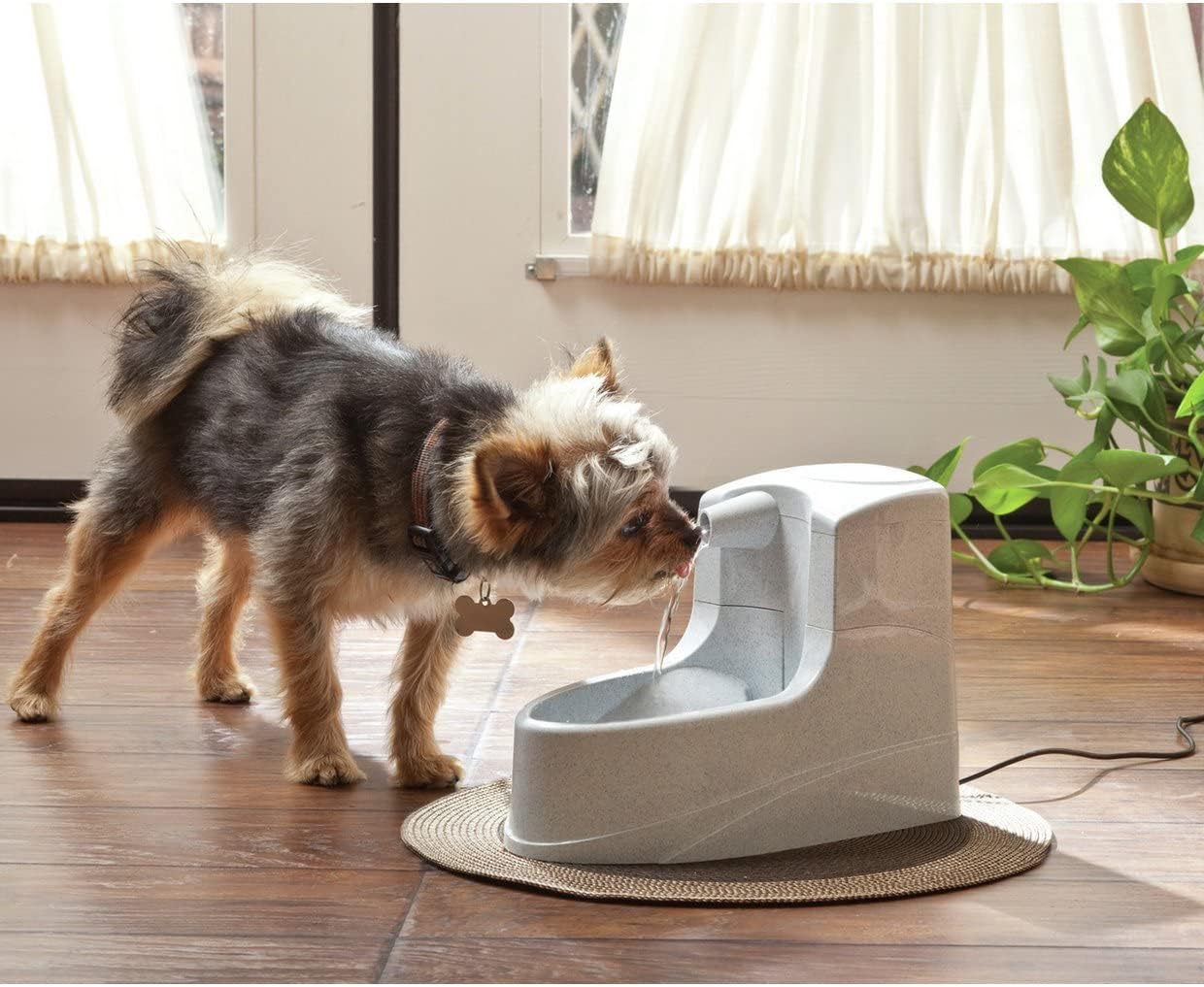 Mini Pet Drinking Fountain – 1.2L Compact, Silent Hydration Station for Cats & Small Dogs by PetSafe
