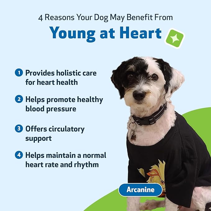 Young at Heart by Pet Wellbeing – Herbal Heart Support for Senior Dogs, Circulation & Cardiovascular Wellness