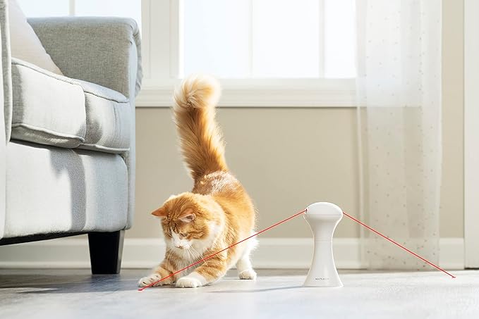 PetSafe Multi-Laser Cat Toy Dual Laser, 360° Auto-Rotating, Battery Powered