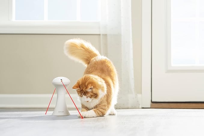 PetSafe Multi-Laser Cat Toy Dual Laser, 360° Auto-Rotating, Battery Powered