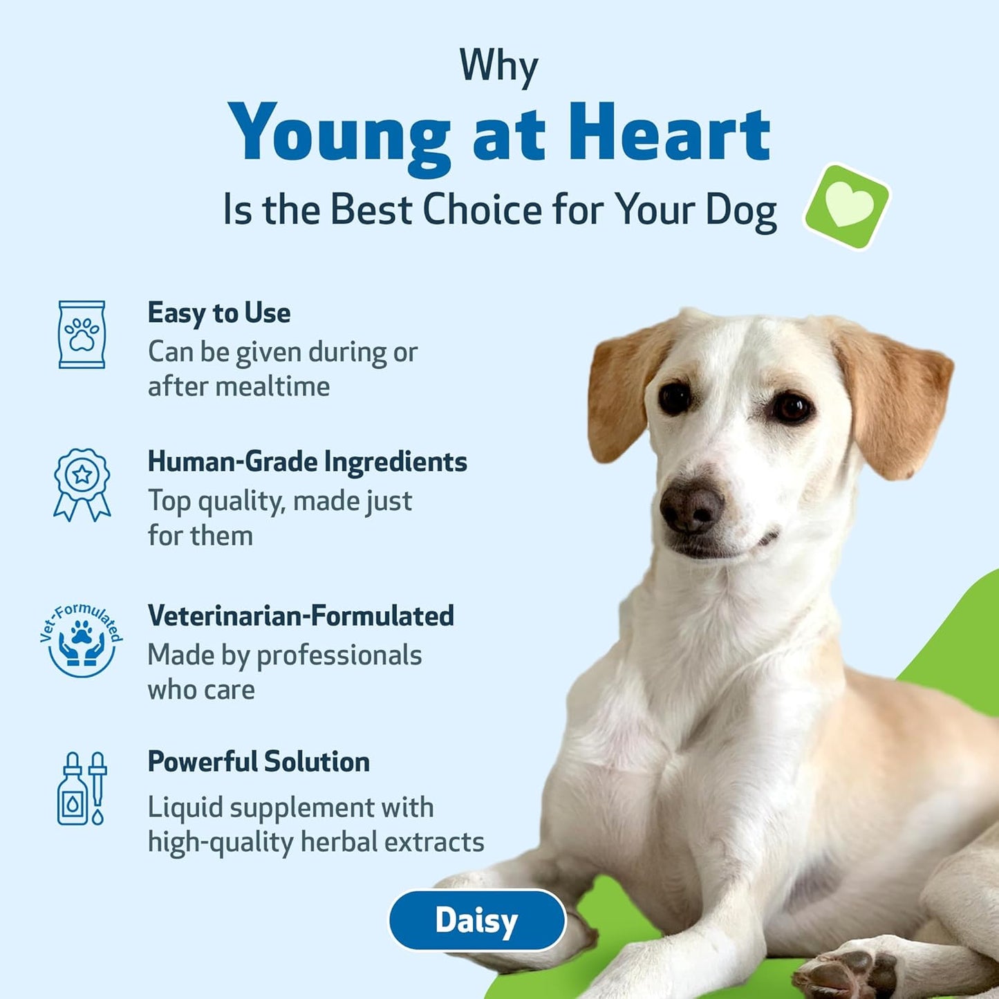 Young at Heart by Pet Wellbeing – Herbal Heart Support for Senior Dogs, Circulation & Cardiovascular Wellness