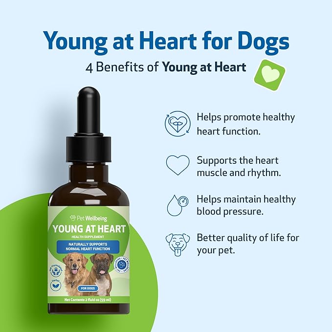 Young at Heart by Pet Wellbeing – Herbal Heart Support for Senior Dogs, Circulation & Cardiovascular Wellness