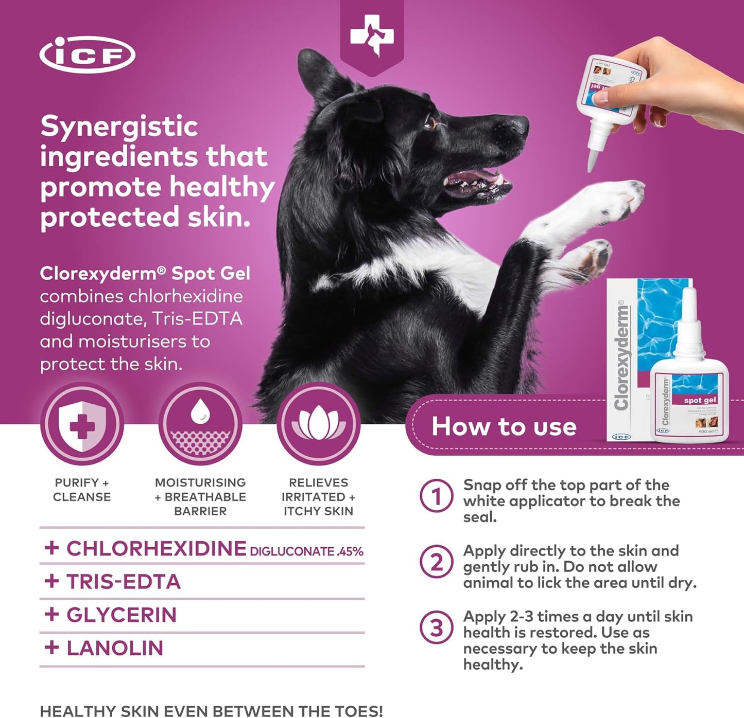 ICF Clorexyderm Gel β Advanced Skin Care for Cats & Dogs | Ideal for Paws, Folds, and Local Irritations