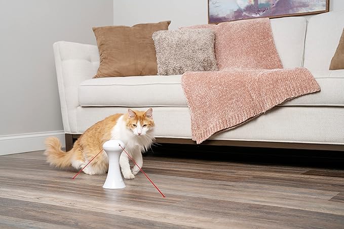PetSafe Multi-Laser Cat Toy Dual Laser, 360° Auto-Rotating, Battery Powered