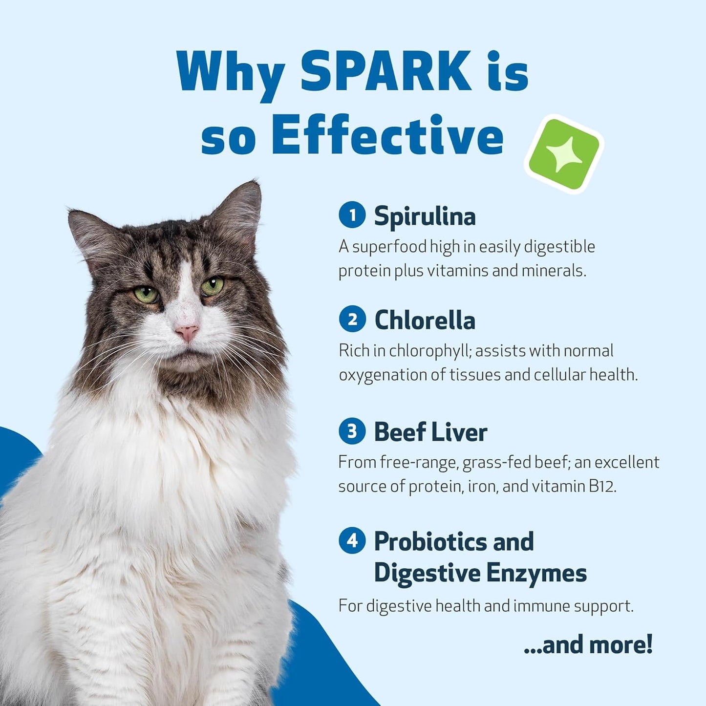 SPARK Daily Superfood for Cats โ Probiotics, Greens, Spirulina & Antioxidants for Digestive & Immune Health