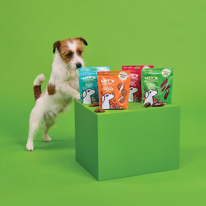 Lily's Kitchen Chicken & Beef Training Treats Natural Dog Snacks for Small, Medium & Large Breeds -8x 70g Multipack Grain-Free, Healthy Bites for Adult Dogs