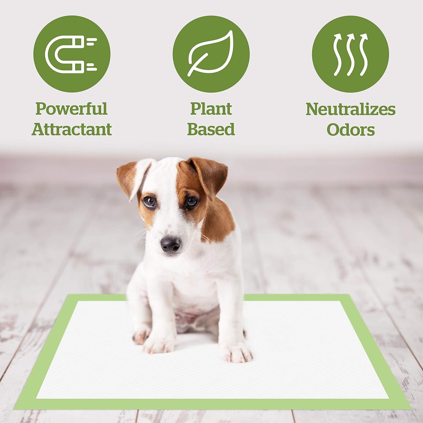 Pogi's Large Dog Training Pads β Eco-Friendly & Leak-Proof