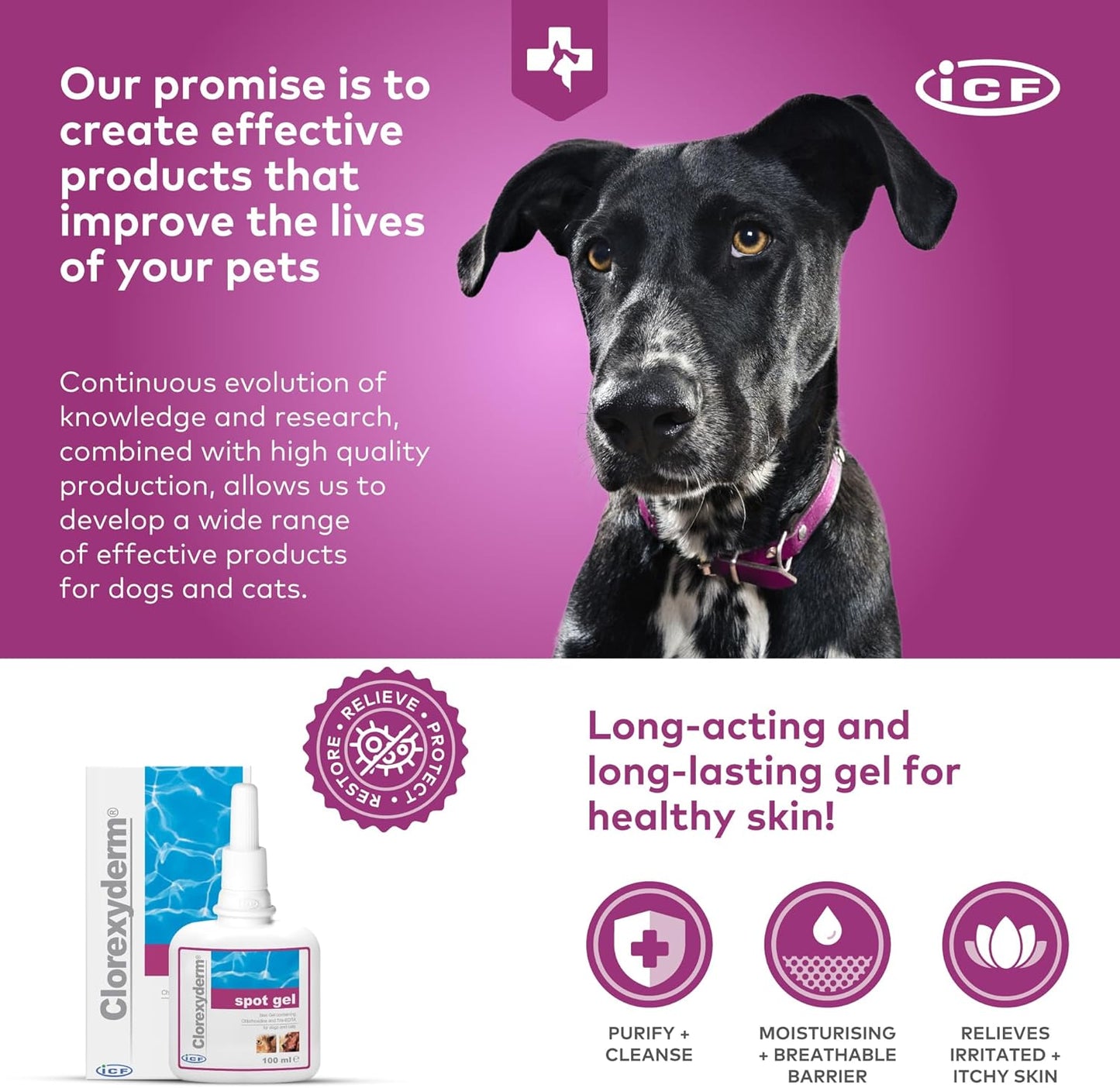 ICF Clorexyderm Gel β Advanced Skin Care for Cats & Dogs | Ideal for Paws, Folds, and Local Irritations