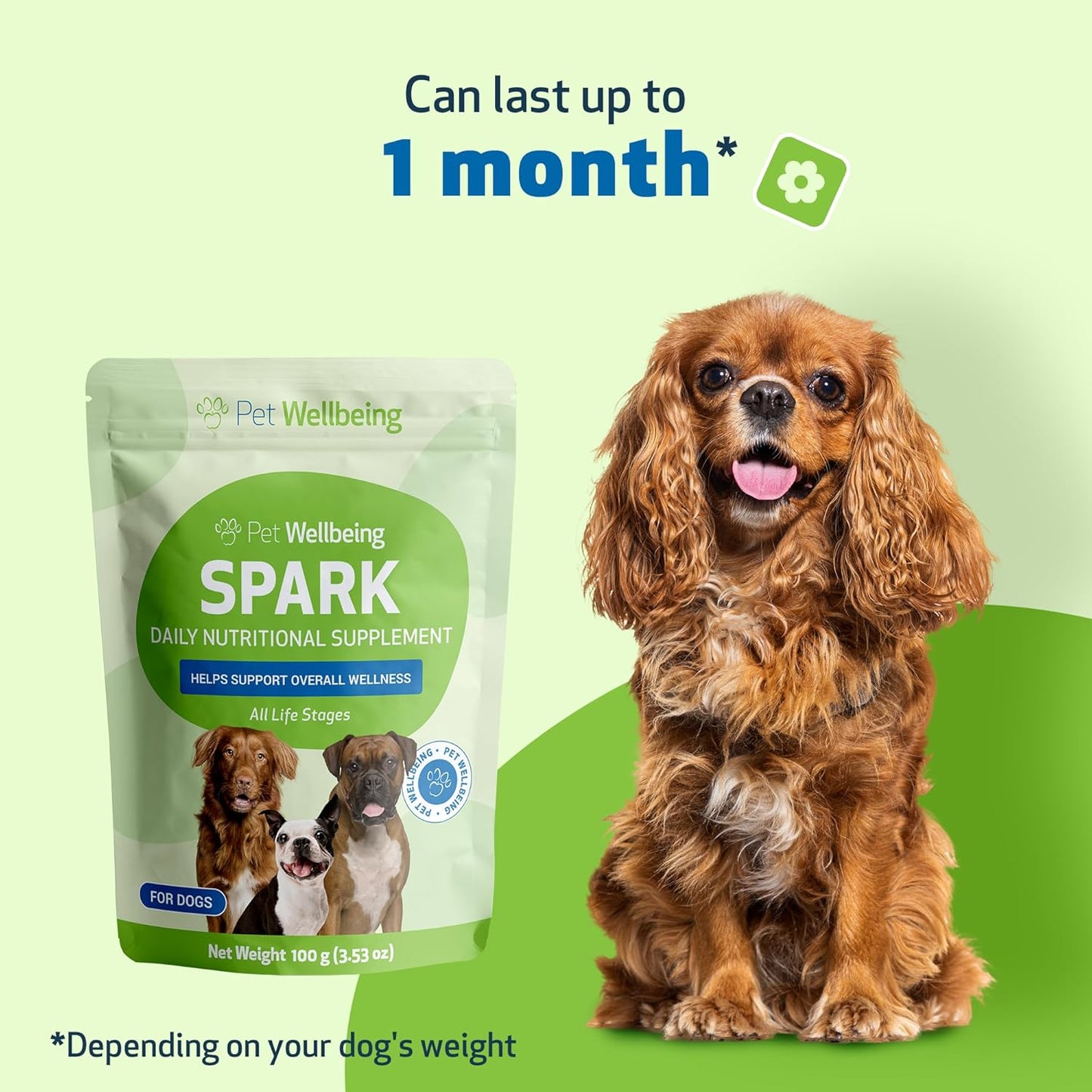 SPARK Daily Superfood for Dogs – Nutritional Greens with Probiotics, Enzymes, Spirulina & Vitamins