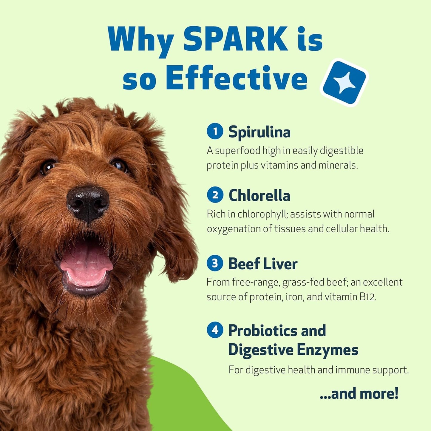 SPARK Daily Superfood for Dogs – Nutritional Greens with Probiotics, Enzymes, Spirulina & Vitamins