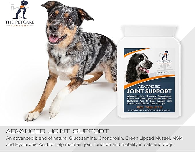 Advanced Joint Support for Dogs β Glucosamine, Chondroitin, Green Lipped Mussel & MSM for Mobility & Hip Health (UK Made)