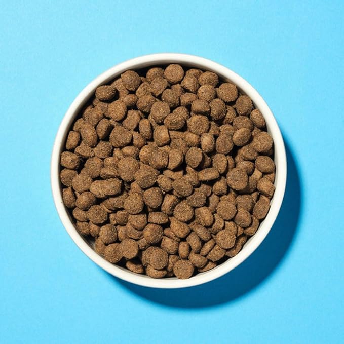 Pooch & Mutt Health & Digestion Dog Food Grain-Free Salmon & Sweet Potato Kibble for Sensitive Stomachs, 2kg