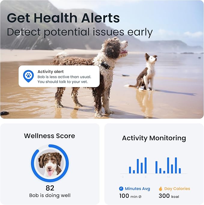 "Tractive GPS & Health Tracker – Keep Your Adventure Buddy Safe and Happy!"