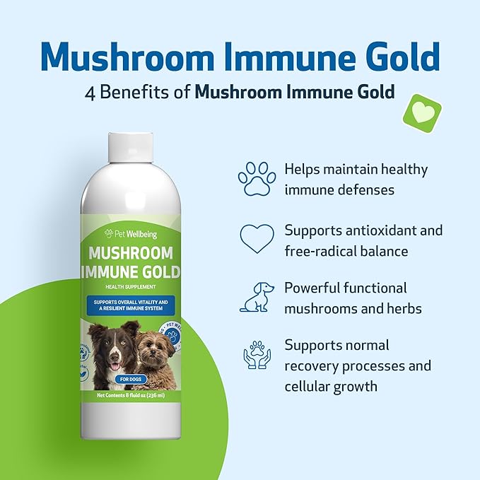 Mushroom Immune Gold – Reishi, Maitake & Turkey Tail for Dogs & Cats | Natural Immune Booster by Pet Wellbeing