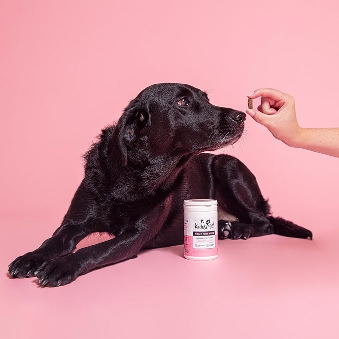 Pooch & Mutt Calming Chews Natural Supplement Treats for Anxious or Excitable Dogs 60 Chicken-Flavoured Chews with Hemp, Collagen & Omega 3 Grain-Free & Junk-Free (All Ages)