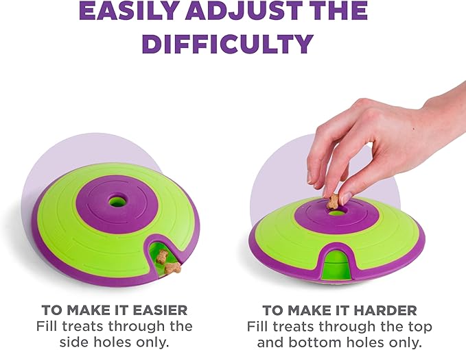 Dog Puzzle Toy with Treat Maze Outward Hound Nina Ottosson (Level 2, Purple & Green)