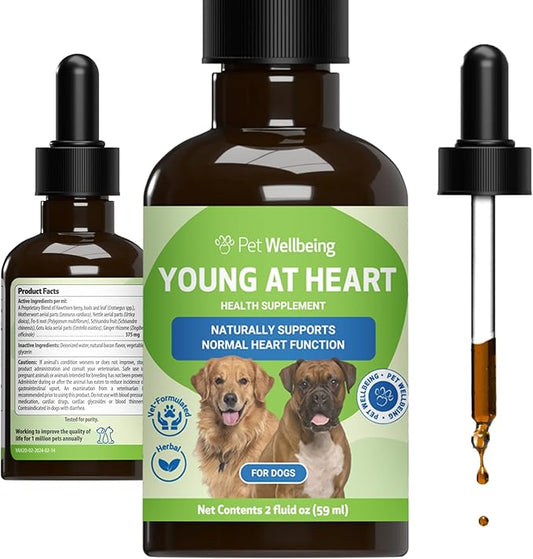 Young at Heart by Pet Wellbeing – Herbal Heart Support for Senior Dogs, Circulation & Cardiovascular Wellness