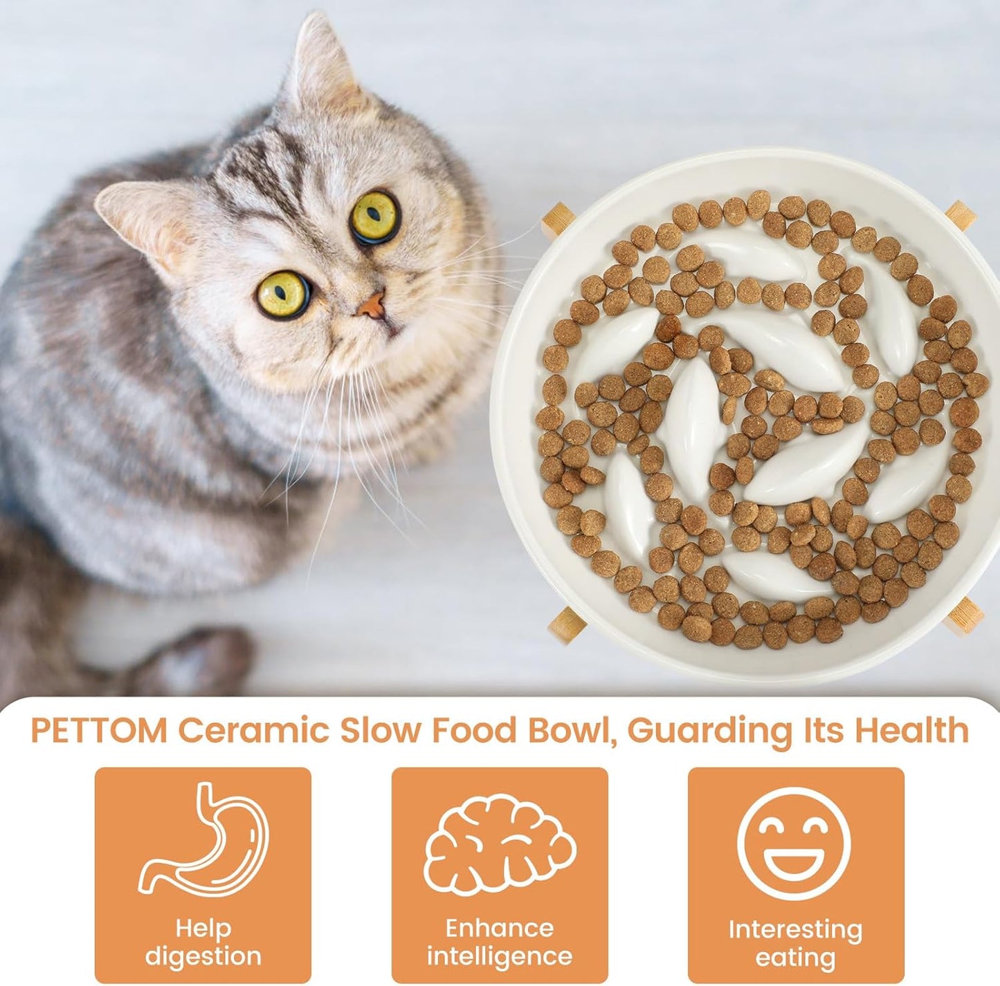 PETTOM Slow Feeder Cat Bowl with Bamboo Stand – Raised Ceramic Bowl for Tidy, Healthy Mealtimes