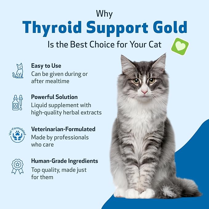 Thyroid Support Gold for Cats – Natural Herbal Formula for Hyperthyroidism, Appetite & Calm Energy