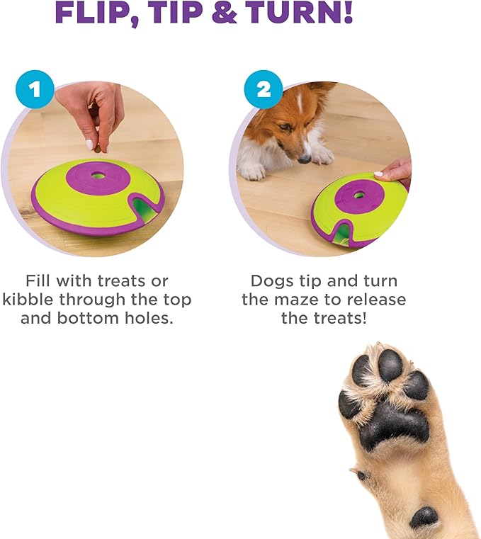 Dog Puzzle Toy with Treat Maze Outward Hound Nina Ottosson (Level 2, Purple & Green)