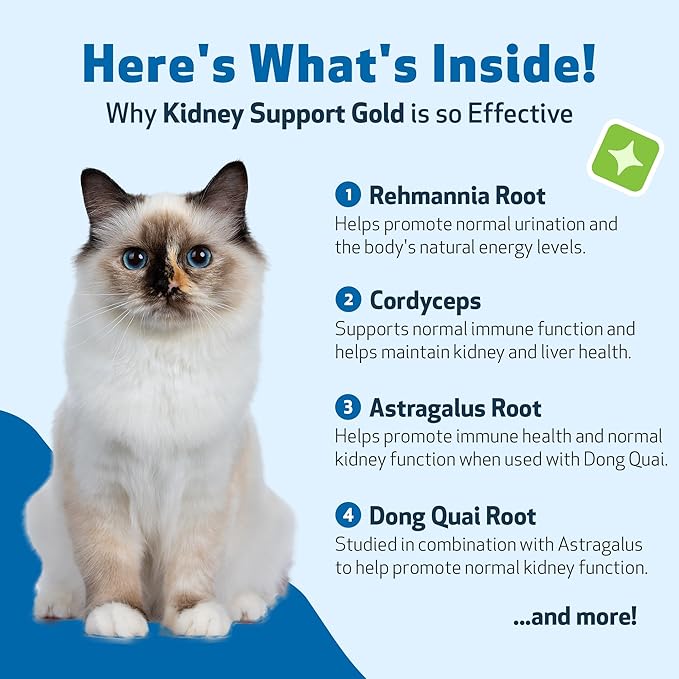 Kidney Support Gold for Cats – Natural Herbal Supplement for Kidney Function, Energy & Fluid Balance