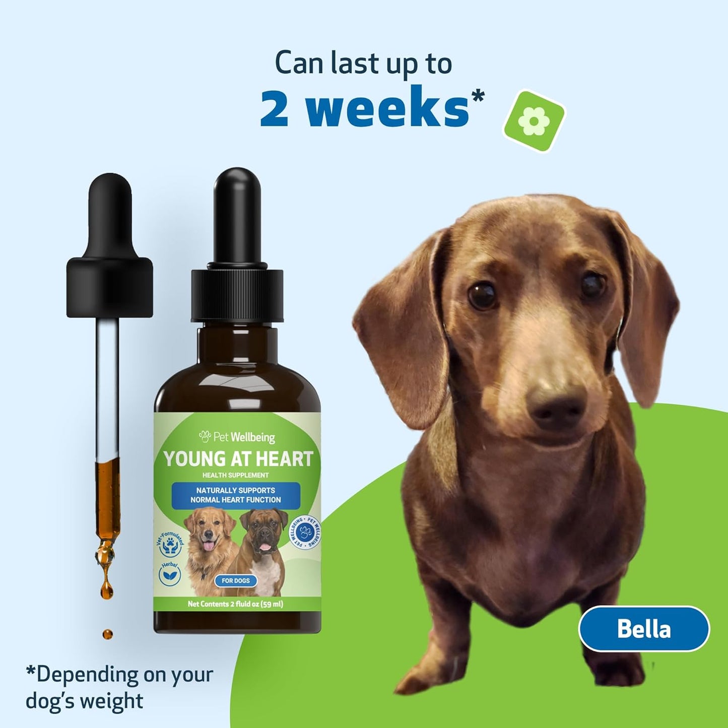 Young at Heart by Pet Wellbeing – Herbal Heart Support for Senior Dogs, Circulation & Cardiovascular Wellness