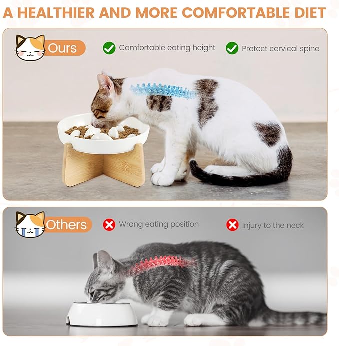 PETTOM Slow Feeder Cat Bowl with Bamboo Stand – Raised Ceramic Bowl for Tidy, Healthy Mealtimes