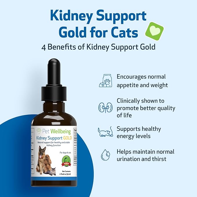 Kidney Support Gold for Cats – Natural Herbal Supplement for Kidney Function, Energy & Fluid Balance