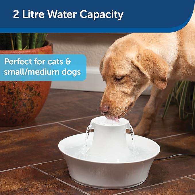 Ceramic Avalon Pet Fountain – 2L Dual-Stream Drinking Fountain for Cats & Small Dogs, Stylish & Hygienic by PetSafe
