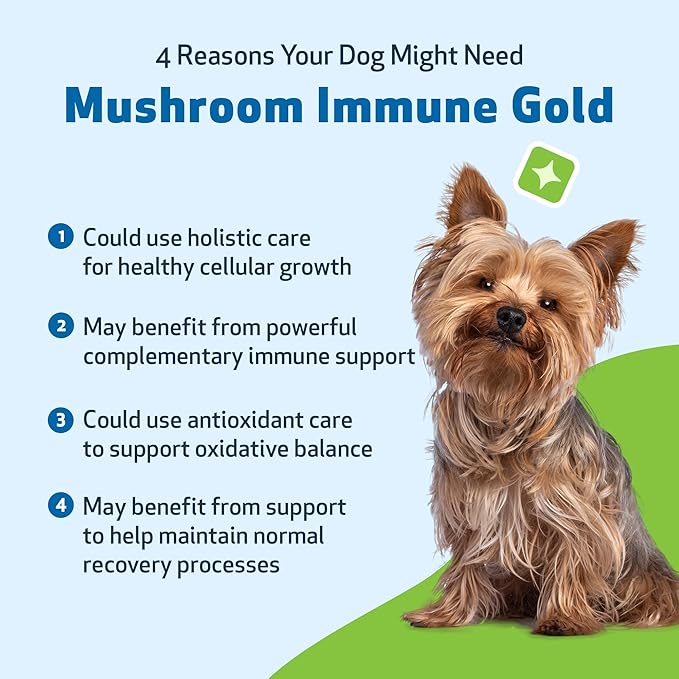 Mushroom Immune Gold – Reishi, Maitake & Turkey Tail for Dogs & Cats | Natural Immune Booster by Pet Wellbeing