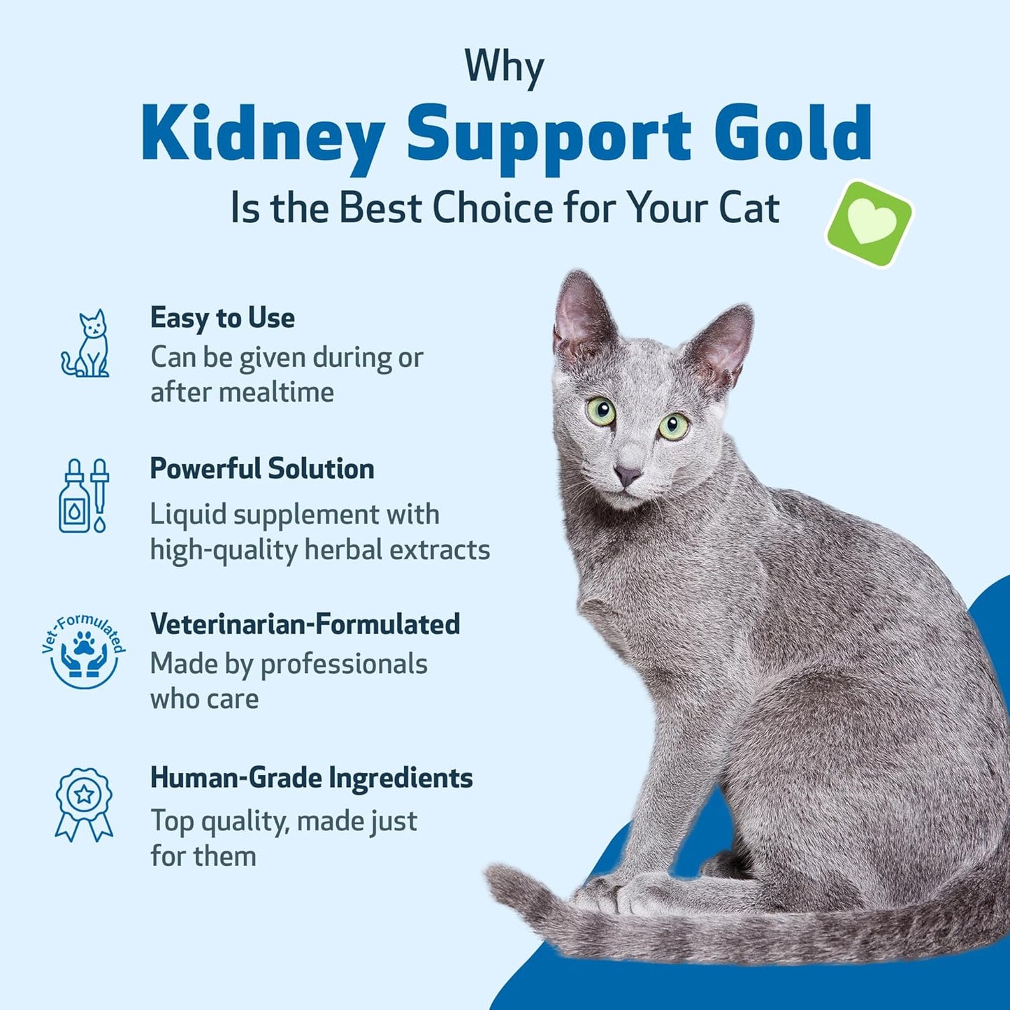 Kidney Support Gold for Cats – Natural Herbal Supplement for Kidney Function, Energy & Fluid Balance