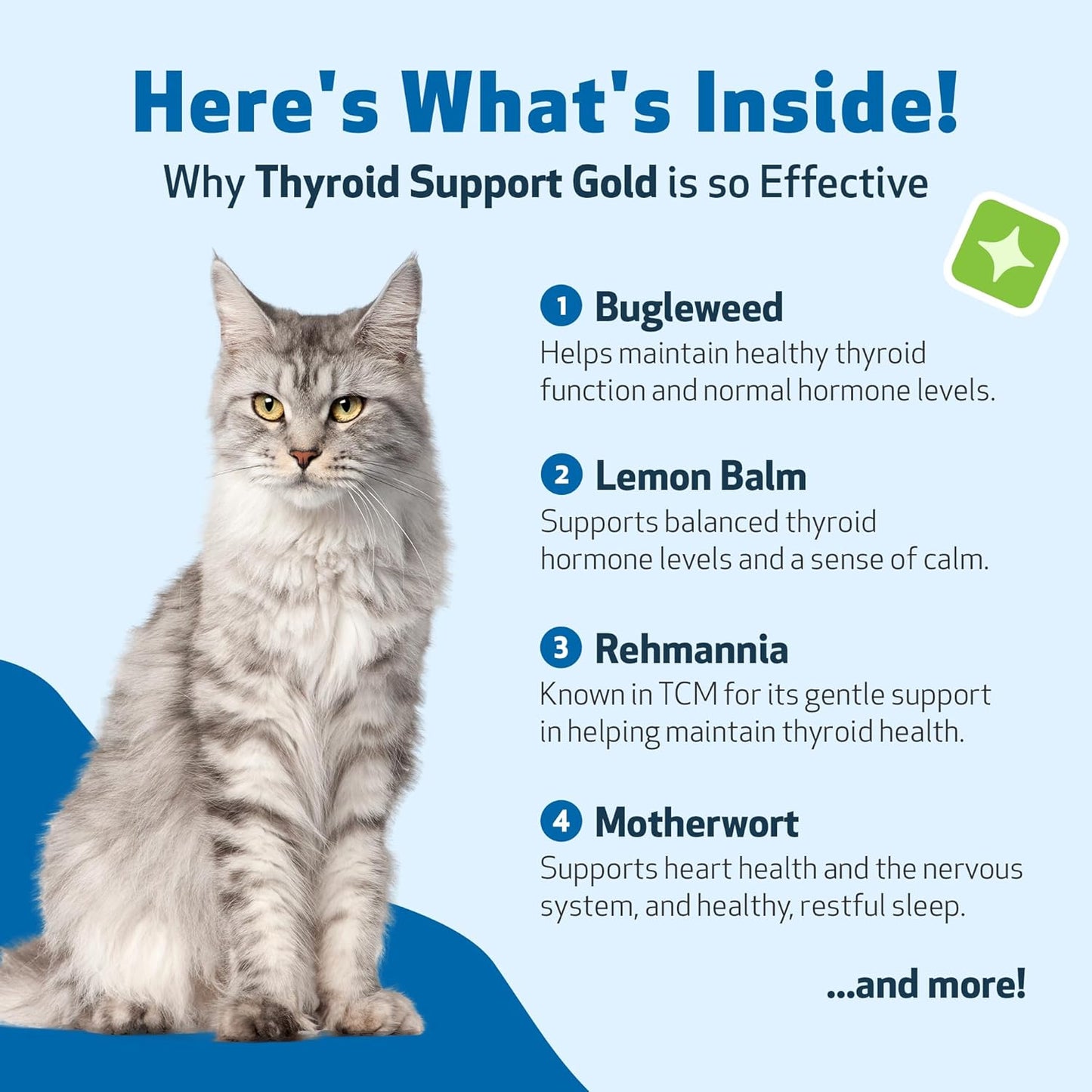 Thyroid Support Gold for Cats – Natural Herbal Formula for Hyperthyroidism, Appetite & Calm Energy