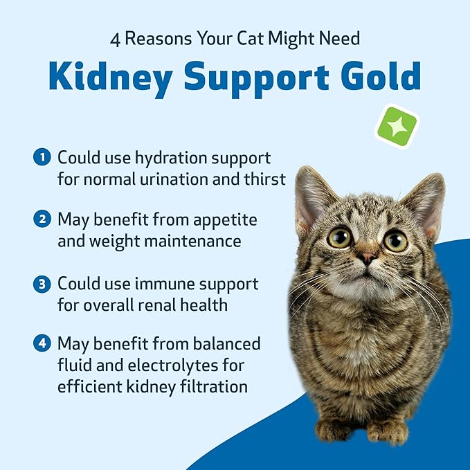 Kidney Support Gold for Cats – Natural Herbal Supplement for Kidney Function, Energy & Fluid Balance