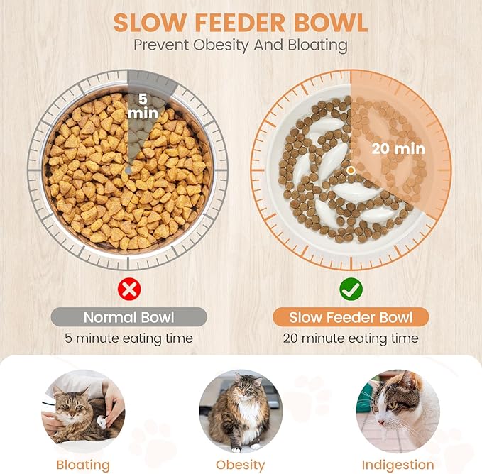 PETTOM Slow Feeder Cat Bowl with Bamboo Stand – Raised Ceramic Bowl for Tidy, Healthy Mealtimes