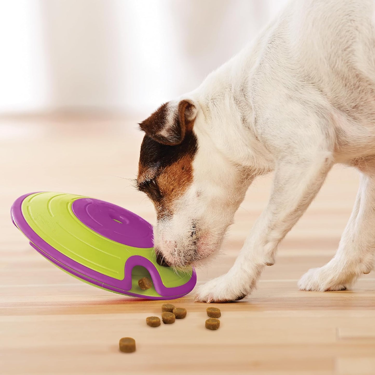 Dog Puzzle Toy with Treat Maze Outward Hound Nina Ottosson (Level 2, Purple & Green)