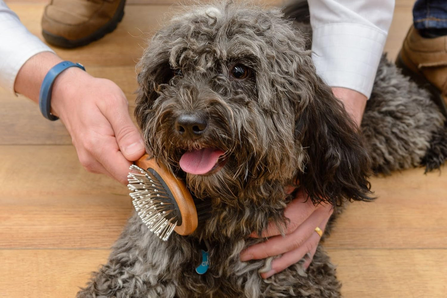Eco-Friendly Bamboo Pet Brush for Shedding & Grooming