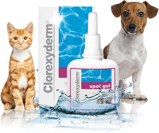 ICF Clorexyderm Gel – Advanced Skin Care for Cats & Dogs | Ideal for Paws, Folds, and Local Irritations