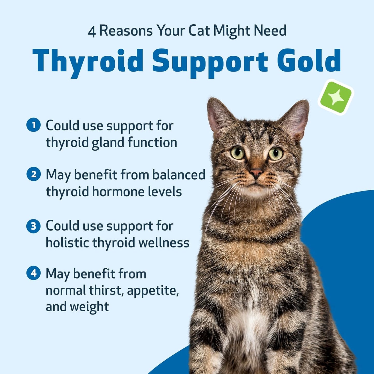 Thyroid Support Gold for Cats – Natural Herbal Formula for Hyperthyroidism, Appetite & Calm Energy