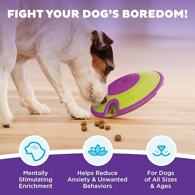 Dog Puzzle Toy with Treat Maze Outward Hound Nina Ottosson (Level 2, Purple & Green)