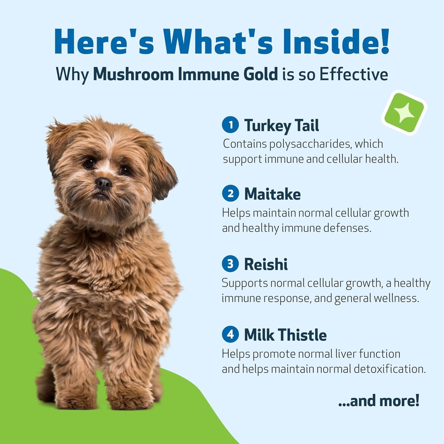 Mushroom Immune Gold – Reishi, Maitake & Turkey Tail for Dogs & Cats | Natural Immune Booster by Pet Wellbeing