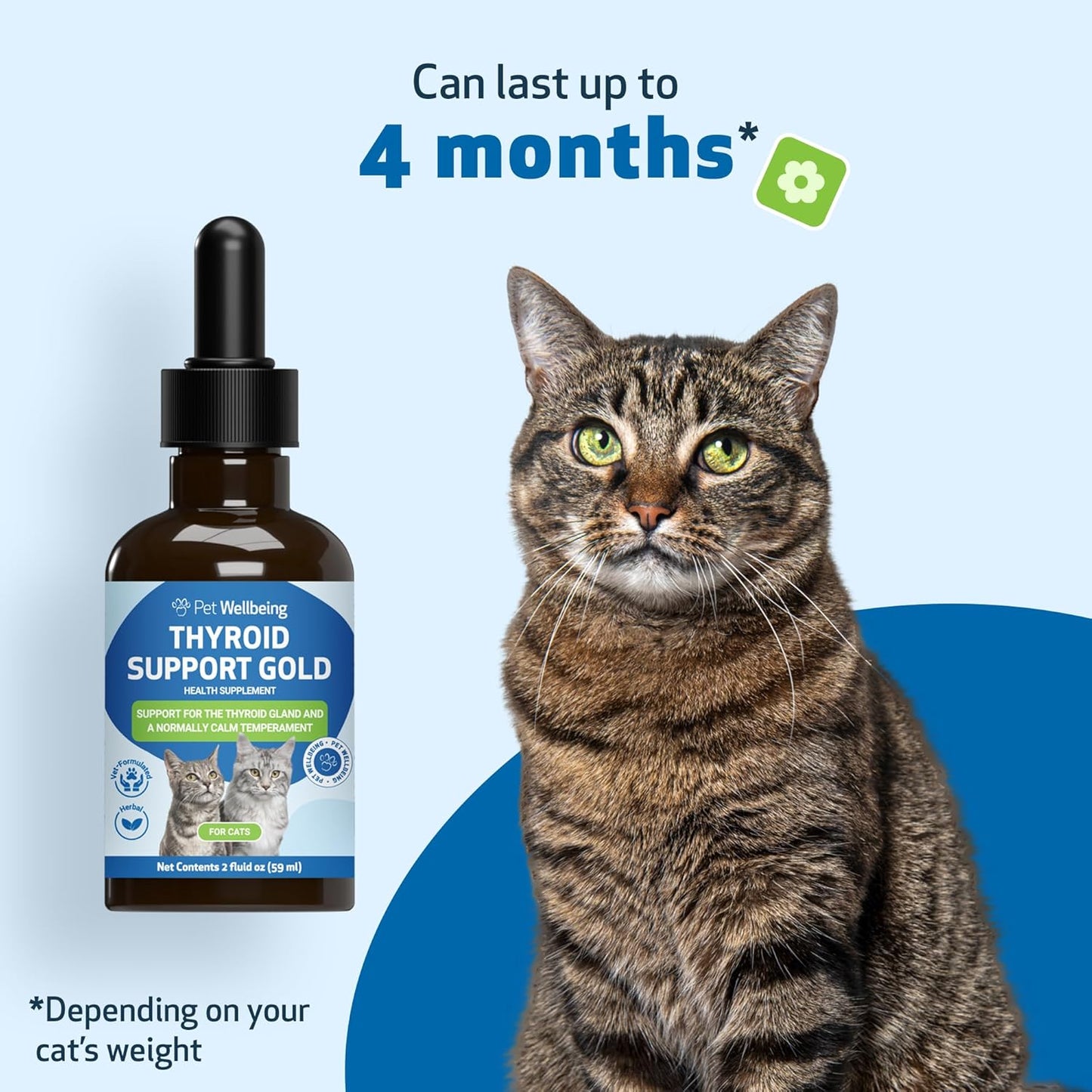 Thyroid Support Gold for Cats – Natural Herbal Formula for Hyperthyroidism, Appetite & Calm Energy