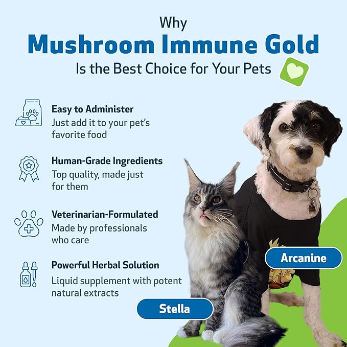 Mushroom Immune Gold – Reishi, Maitake & Turkey Tail for Dogs & Cats | Natural Immune Booster by Pet Wellbeing